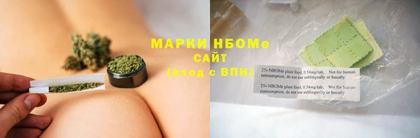 дживик Надым