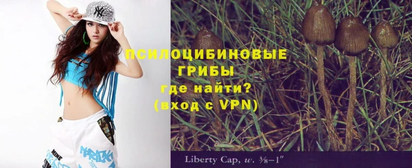 дживик Надым